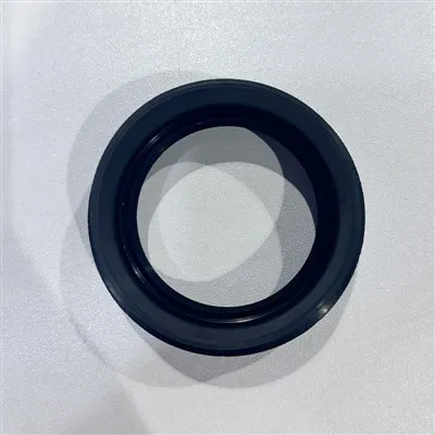 Outboard Motor Oil Seal
